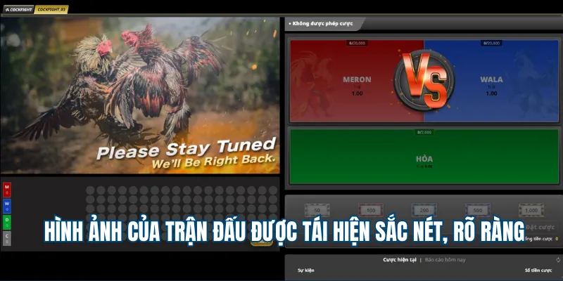 Hình ảnh của trận đấu được tái hiện sắc nét, rõ ràng